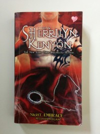 Image of Night Embrace : Pelukan Malam